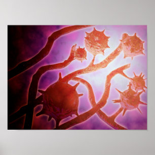 Mikroskopische Histoplasmose Poster