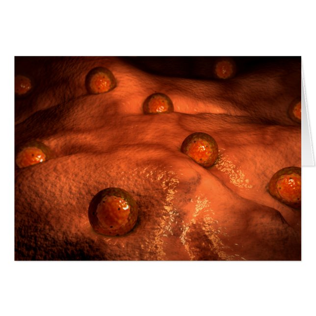 Mikroskopische Ovuleansicht (Vorderseite (Horizontal))