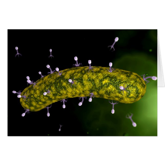 Mikroskopische Sicht auf Bakteriophage (Vorderseite (Horizontal))