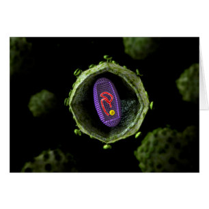 Mikroskopische Sicht auf das HIV-Virus, Querschnit