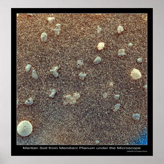 Mikroskopische Sicht auf den Marsboden Poster