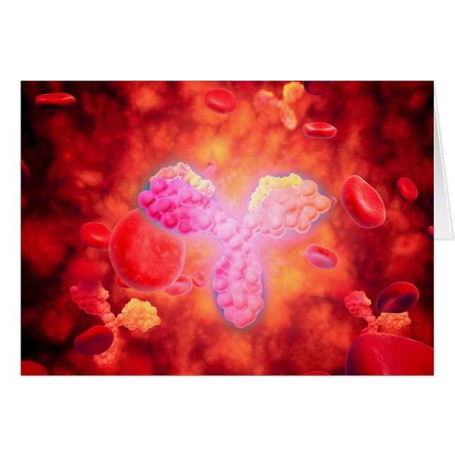 Mikroskopische Sicht auf menschliche Antikörper (Vorderseite (Horizontal))