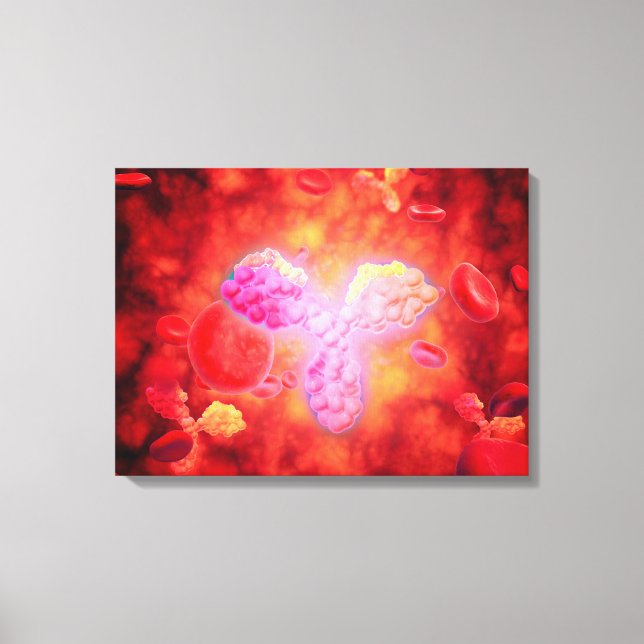 Mikroskopische Sicht auf menschliche Antikörper Leinwanddruck (Vorderseite)