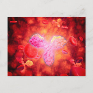 Mikroskopische Sicht auf menschliche Antikörper Postkarte