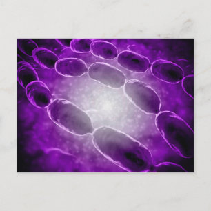 Mikroskopische Sicht der Bakterienpneumonie 2 Postkarte