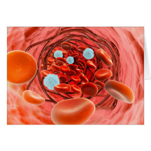 Mikroskopische Sicht des Blutflusses innerhalb ein