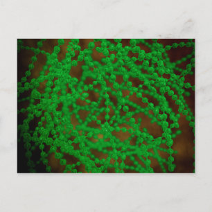 Mikroskopische Sicht des Cocci-Bakteriums Postkarte