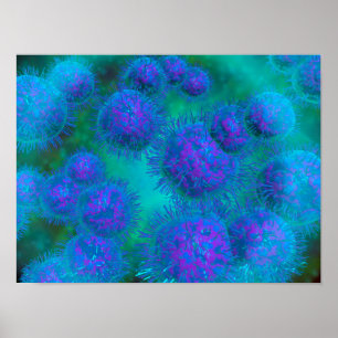 Mikroskopische Sicht von Diplococcus Bacterium Poster