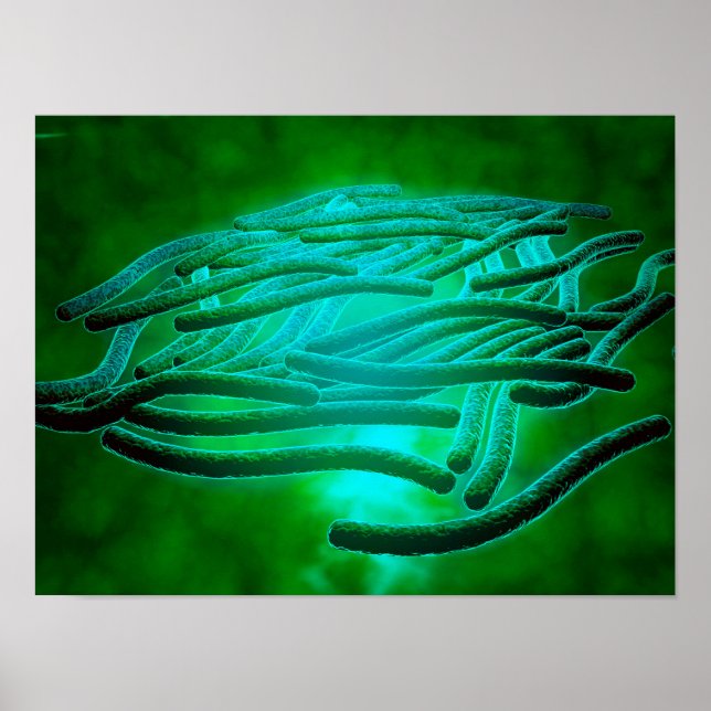 Mikroskopische Sicht von Legionella Pneumophila 1 Poster (Vorne)