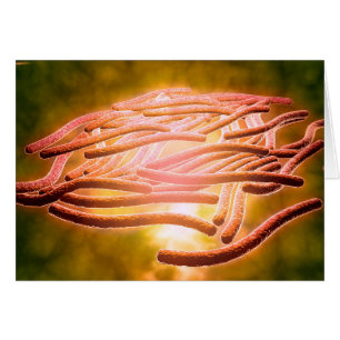 Mikroskopische Sicht von Legionella Pneumophila 2