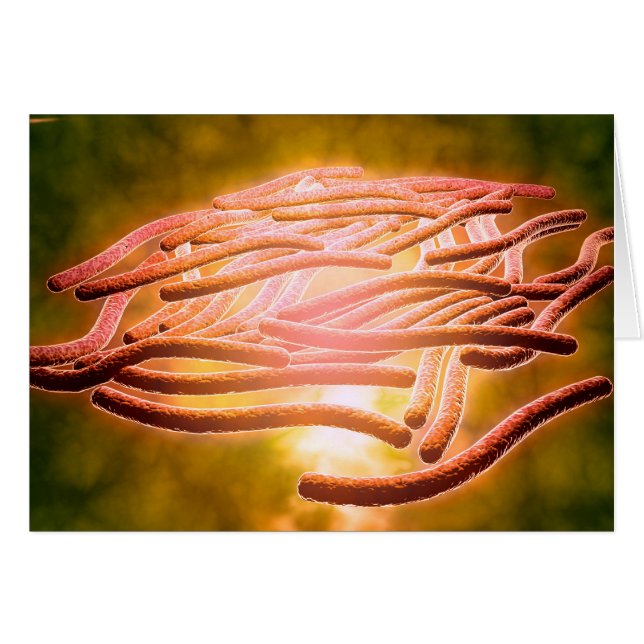 Mikroskopische Sicht von Legionella Pneumophila 2 (Vorderseite (Horizontal))