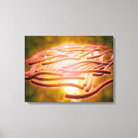 Mikroskopische Sicht von Legionella Pneumophila 2