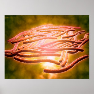 Mikroskopische Sicht von Legionella Pneumophila 2 Poster