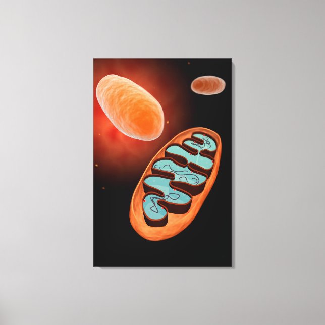 Mikroskopische Sicht von Mitochondrien 1 Leinwanddruck (Vorderseite)