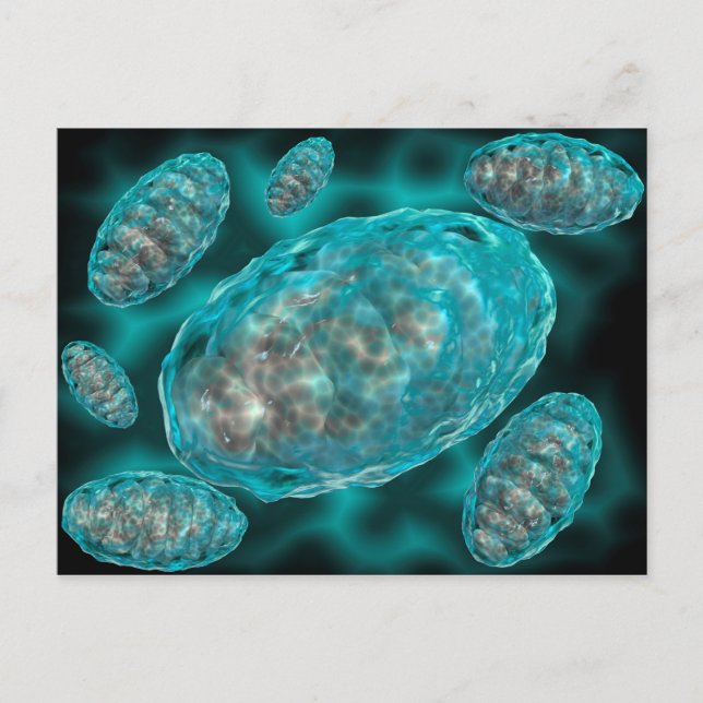 Mikroskopische Sicht von Mitochondrien 2 Postkarte (Vorderseite)