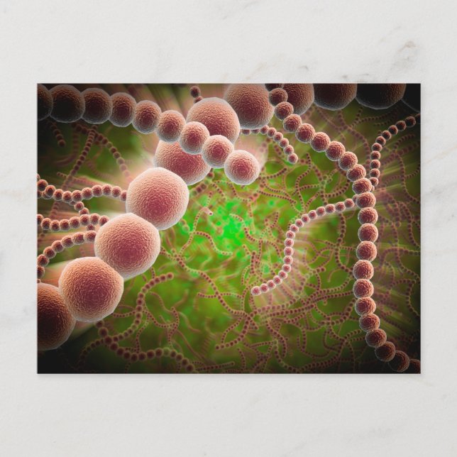 Mikroskopische Sicht von Streptococcus Pneumoniae Postkarte (Vorderseite)