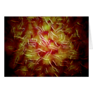 Mikroskopische Spermienansicht