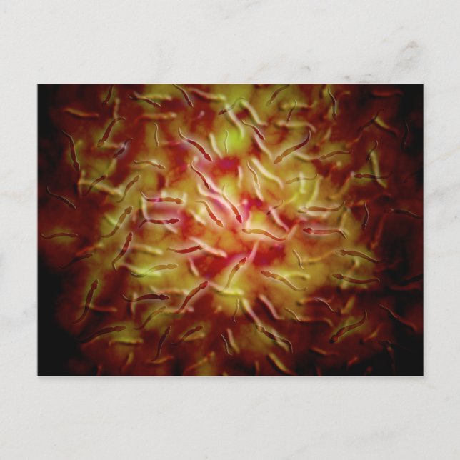 Mikroskopische Spermienansicht Postkarte (Vorderseite)