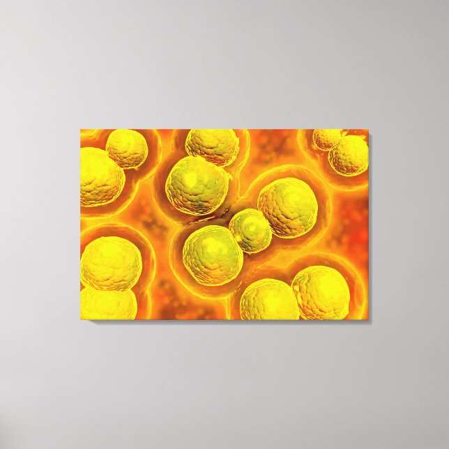 Mikroskopischer Blick auf Chlamydien Leinwanddruck (Vorderseite)