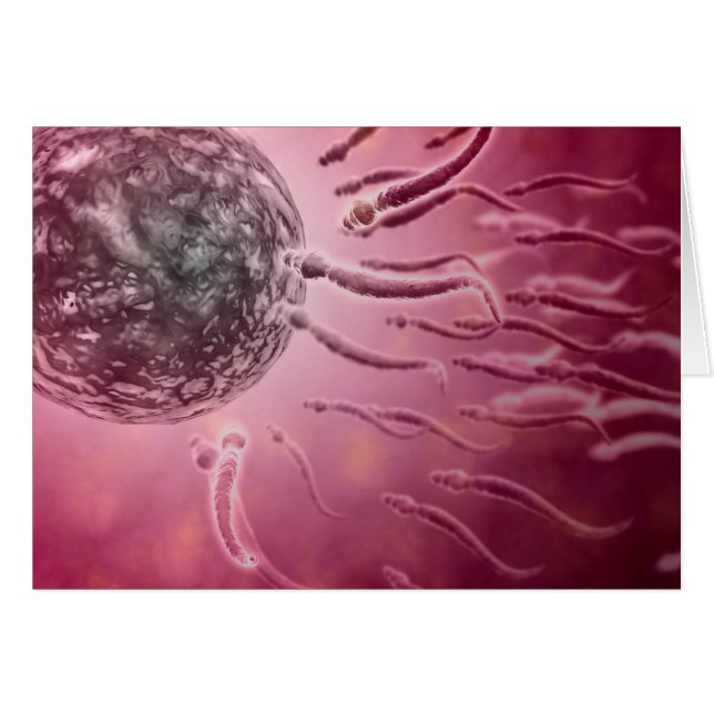 Mikroskopischer Blick von Spermien, die gegen Ei s (Vorderseite (Horizontal))