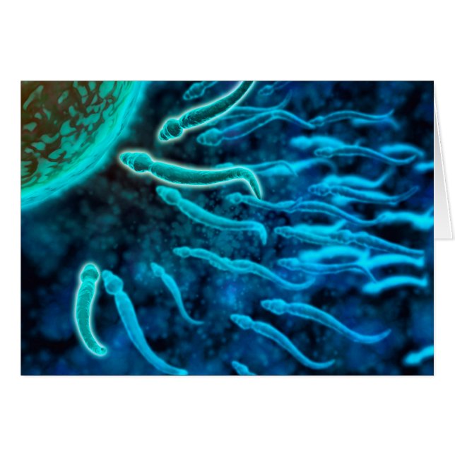 Mikroskopischer Blick von Spermien, die gegen Ei s (Vorderseite (Horizontal))