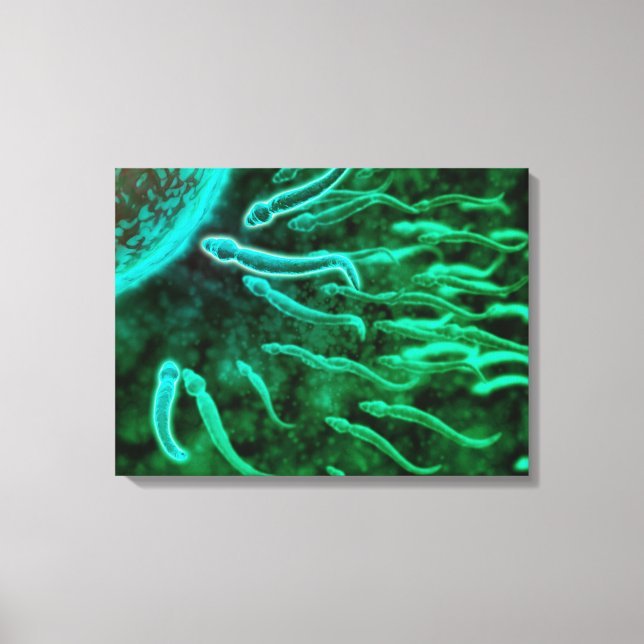 Mikroskopischer Blick von Spermien, die gegen Ei s Leinwanddruck (Vorderseite)