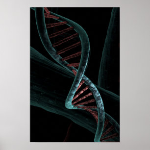Mikroskopischer Code der DNA-Doppelhelix Poster