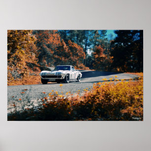 Mil cumbres dowhill (La Mexican Race) Poster