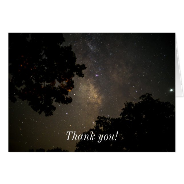 Milchbaume (Vorderseite (Horizontal))