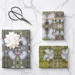 Milchkrautfrüchte, Samen und Seide   Natürlich   Geschenkpapier Set