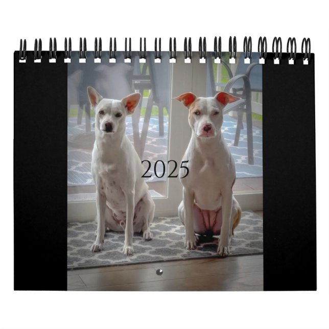 Milchkuchen und Milchshake Kalender (Titelbild)