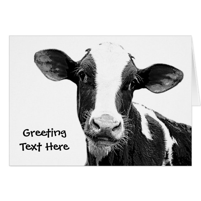 Milchkuh - Schwarzweiss-Molkereikalb (Vorderseite (Horizontal))