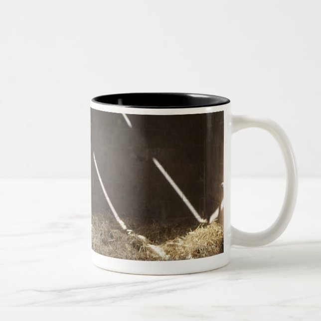 Milchkuh Zweifarbige Tasse (Rechts)