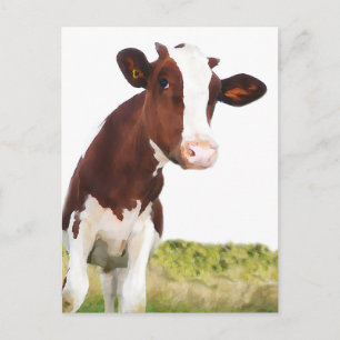 Milchkühe - braun gestrichen & weiß Holstein Postkarte
