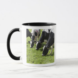 Milchkühe, die in der Weide weiden lassen Tasse