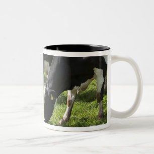 Milchkühe, die in der Weide weiden lassen Zweifarbige Tasse