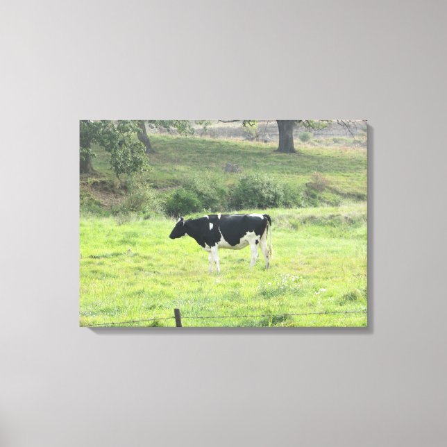 Milchkühe Foto Leinwand Kunst (Vorderseite)