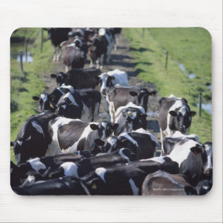 Milchkühe (Fresian Dairy Cows, Warming Milking, Gr Mousepad
