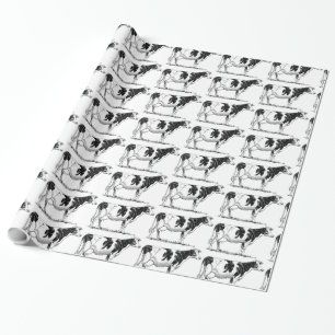 Milchkühe Holstein Fresian Pencil Zeichnend Geschenkpapier