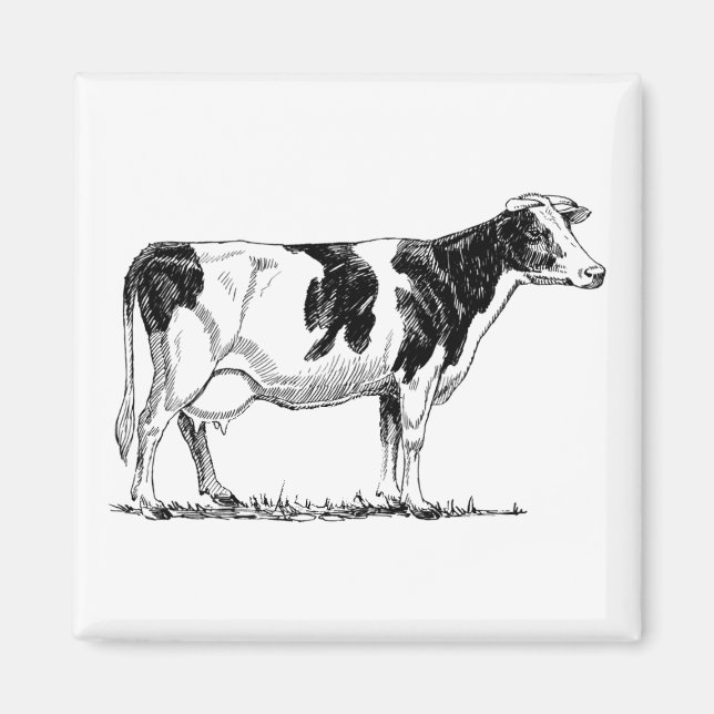 Milchkühe Holstein Fresian Pencil Zeichnend Magnet (Vorne)