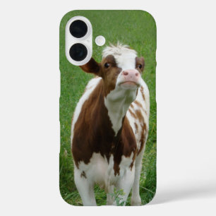 Milchkühe im Betrieb iPhone 16 Hülle