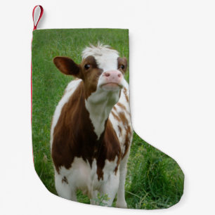 Milchkühe im Betrieb Kleiner Weihnachtsstrumpf