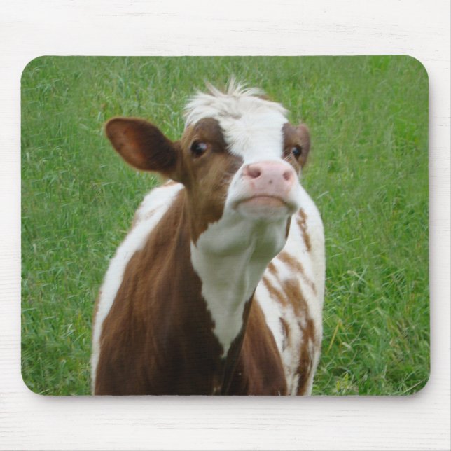 Milchkühe im Betrieb Mousepad (Vorne)