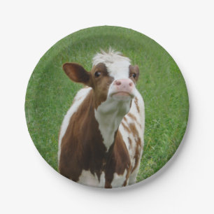 Milchkühe im Betrieb Pappteller