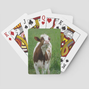 Milchkühe im Betrieb Spielkarten