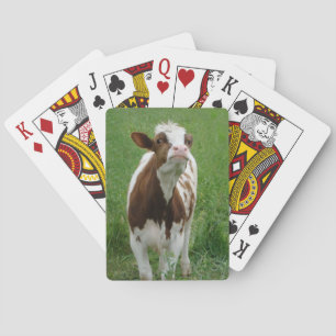 Milchkühe im Betrieb Spielkarten