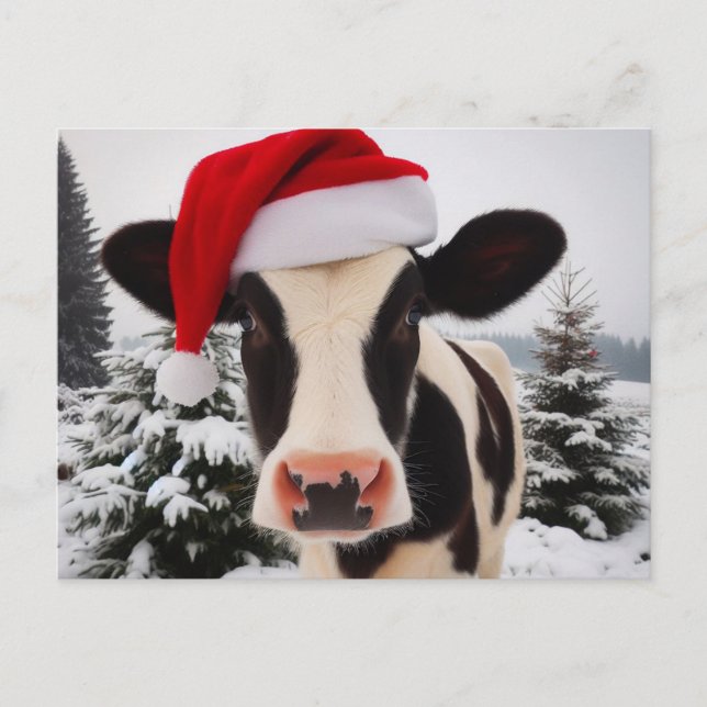 Milchkühe in einer Weihnachtsmannmütze Postkarte (Vorderseite)