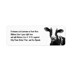 Milchkühe - Kalb aus schwarzen und weißen Milchsor