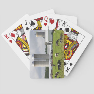 Milchkühe und Bauernhof in der Nähe von Taylor Cou Spielkarten