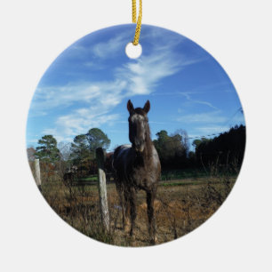 Milchschokolade Braunes Pferd in Blau Keramikornament